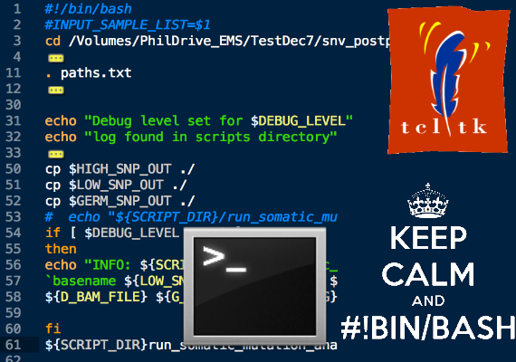 Компьютерные технологии в научных исследованиях
